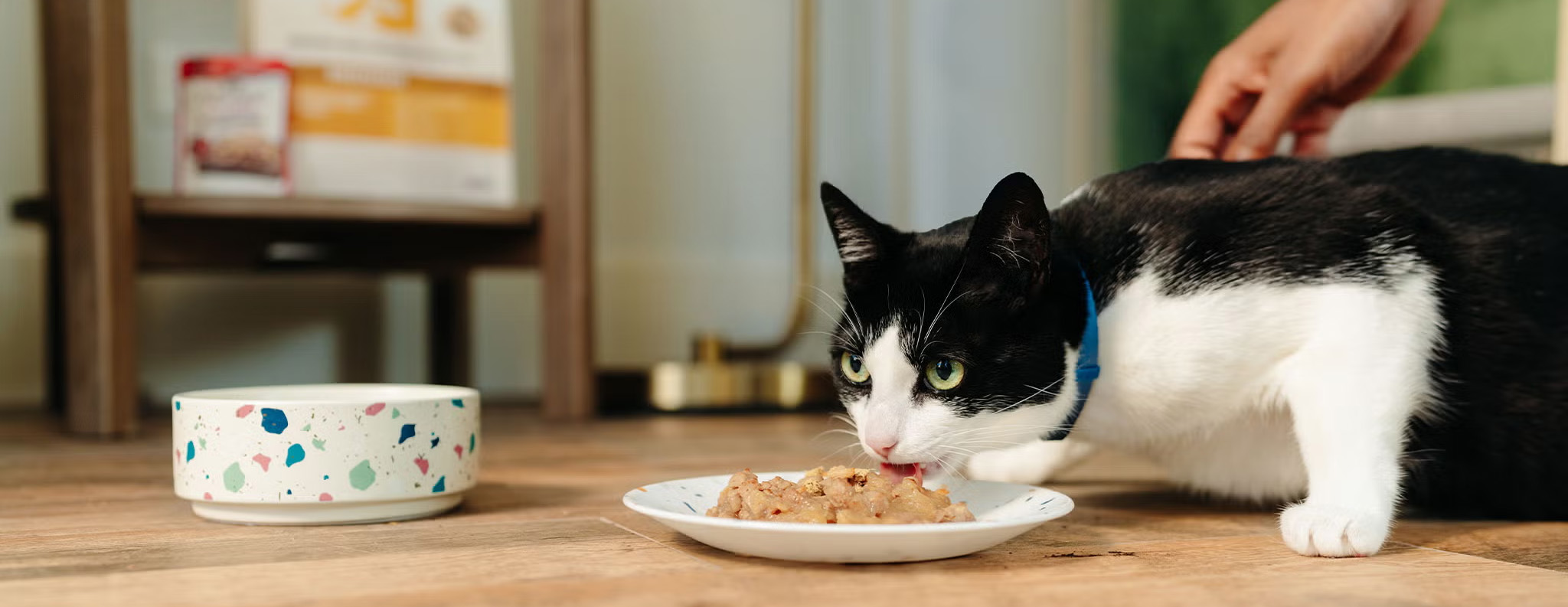 Heimtierbedarf Verkäufe -Heimtierbedarf Verkäufe 1