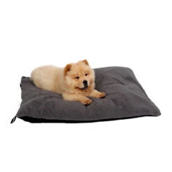 51 Degrees North Sheep Hundekissen -Heimtierbedarf Verkäufe 51 degrees north sheep hondenkussen 141479 0500 none