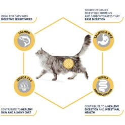 Affinity Advance Adult Salmon Sensitive - Katze 12 Affinity Advance Adult Salmon Sensitive - Katze -Heimtierbedarf Verkäufe affinity advance adult salmon sensitive kat 178666 0500 none