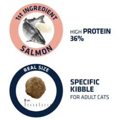 Affinity Advance Adult Salmon Sensitive - Katze 10 Affinity Advance Adult Salmon Sensitive - Katze -Heimtierbedarf Verkäufe affinity advance adult salmon sensitive kat 178669 0500 none