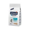 Affinity Advance Kitten Huhn Und Reis -Heimtierbedarf Verkäufe affinity advance kitten kip en rijst kat 178228 0500 none