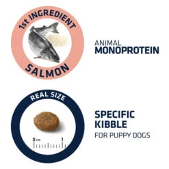 Affinity Advance Puppy Sensitive Lachs & Reis -Heimtierbedarf Verkäufe affinity advance puppy sensitive zalm en rijst 177883 0500 none