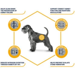 Affinity Advance Veterinary Diets Renal Hund -Heimtierbedarf Verkäufe affinity advance veterinary diets renal hond 177343 0500 none