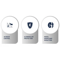 Affinity Advance Veterinary Diets Renal Hund -Heimtierbedarf Verkäufe affinity advance veterinary diets renal hond 177346 0500 none