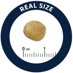 Affinity Advance Veterinary Diets Renal Hund -Heimtierbedarf Verkäufe affinity advance veterinary diets renal hond 177349 0500 none