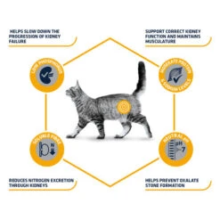 Affinity Advance Veterinary Diets Renal Katze 15 Affinity Advance Veterinary Diets Renal Katze -Heimtierbedarf Verkäufe affinity advance veterinary diets renal kat 176884 0500 none