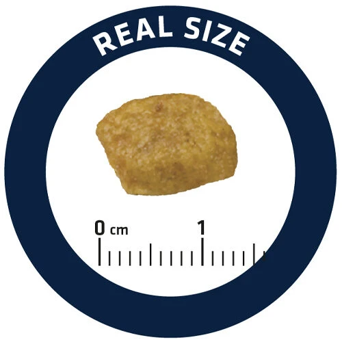 Affinity Advance Veterinary Diets Renal Katze 8 Affinity Advance Veterinary Diets Renal Katze – Bild 6