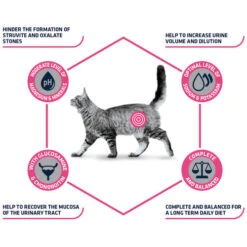 Affinity Advance Veterinary Diets Urinary Katze 21 Affinity Advance Veterinary Diets Urinary Katze -Heimtierbedarf Verkäufe affinity advance veterinary diets urinary kat 176905 0500 none