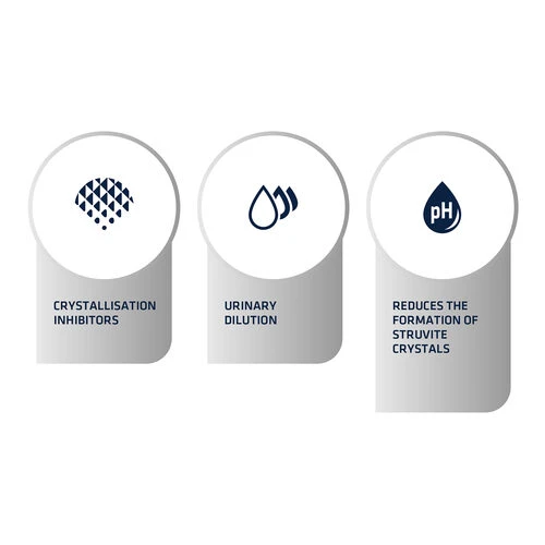 Affinity Advance Veterinary Diets Urinary Katze 6 Affinity Advance Veterinary Diets Urinary Katze – Bild 4