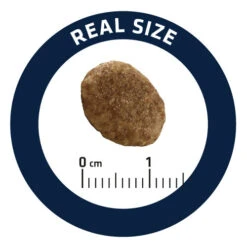 Affinity Advance Veterinary Diets Urinary Katze 20 Affinity Advance Veterinary Diets Urinary Katze -Heimtierbedarf Verkäufe affinity advance veterinary diets urinary kat 176911 0500 none