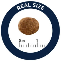 Affinity Advance Veterinary Diets Urinary Stress Katze -Heimtierbedarf Verkäufe affinity advance veterinary diets urinary stress kat 176821 0500 none