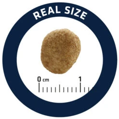 Affinity Advance Veterinary Diets Weight Balance Katze -Heimtierbedarf Verkäufe affinity advance veterinary diets weight balance kat 178099 0500 none