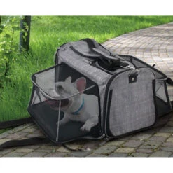 AFP Travel Dog - Hundetransportbox Mit Rollen -Heimtierbedarf Verkäufe afp travel dog rolling pet carrier 213521 0500 none