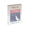 Avicas
