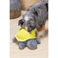 Beeztees Hide And Seek Schildo -Heimtierbedarf Verkäufe beeztees hide and seek schildo 221788 0500 none