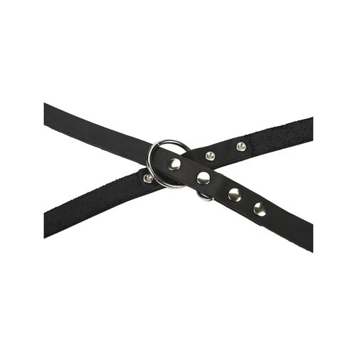 Beeztees Hundeleine Leder 4 Beeztees Hundeleine Leder – Bild 2