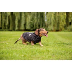 Beeztees Hundepullover Celia -Heimtierbedarf Verkäufe beeztees hondentrui celia 219140 0500 none