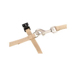 Beeztees Nylon Katzengeschirr Uni - Beige -Heimtierbedarf Verkäufe beeztees nylon kattentuig uni beige 186637 0500 none