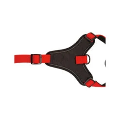 Beeztees Parinca Premium Y-Geschirr -Heimtierbedarf Verkäufe beeztees parinca premium y tuig 199589 0500 none