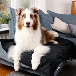 Bia Travel Outdoor Matratze -Heimtierbedarf Verkäufe bia travel outdoor matras 191348 0500 none