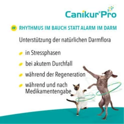 Canikur® Pro Diät-Ergänzungsfuttermittel Für Hunde 9 Canikur® Pro Diät-Ergänzungsfuttermittel Für Hunde -Heimtierbedarf Verkäufe canikur pro 213692 0500 none