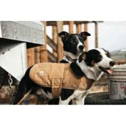 Carhartt Dog Chore Coat -Heimtierbedarf Verkäufe carhartt dog chore coat 186748 0500 none
