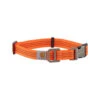 Carhartt Tradesman Hundehalsband -Heimtierbedarf Verkäufe carhartt tradesman dog collar 186577 0500 none