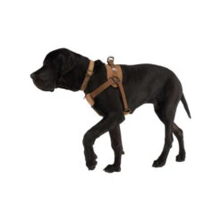 Carhartt Work Dog Harness -Heimtierbedarf Verkäufe carhartt work dog harness 186805 0500 none
