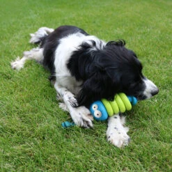 Coockoo Larry -Heimtierbedarf Verkäufe coockoo larry 216712 0500 none