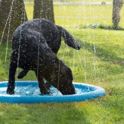CoolPets Splash Pool Water Sprinkler -Heimtierbedarf Verkäufe coolpets splash pool sproeier 174286 0500 none