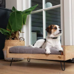 Designed By Lotte Hundebett Turana -Heimtierbedarf Verkäufe designed by lotte ligmand turana 170032 0500 none