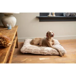 Designed By Lotte Xanti Hundekissen 8 Designed By Lotte Xanti Hundekissen -Heimtierbedarf Verkäufe designed by lotte xanti hondenkussen 188127 0500 none