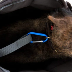 Doctor Bark Hundetragetasche -Heimtierbedarf Verkäufe doctor bark honden draagtas 202157 0500 none