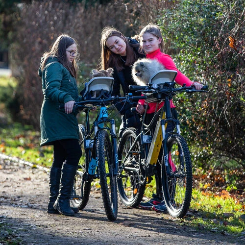 Dogrider Dog Seat + Korb - Grau 4 Dogrider Dog Seat + Korb - Grau – Bild 2