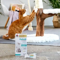 Doppelherz Gelenk Complex Für Katzen -Heimtierbedarf Verkäufe doppelherz gelenk complex fuer katzen 195053 0500 none