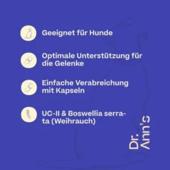 Dr. Ann's Mobility Support Advanced 11 Dr. Ann's Mobility Support Advanced -Heimtierbedarf Verkäufe dr anns mobility support advanced 213137 0500 none