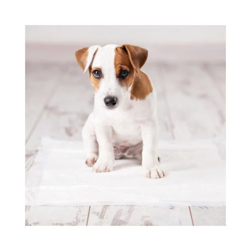 Duvo+ Puppy Pads Fresh Grass 4 Duvo+ Puppy Pads Fresh Grass – Bild 2