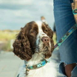 DWAM Halsband Boho Juan -Heimtierbedarf Verkäufe dwam halsband boho juan 133658 0500 none