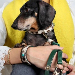 DWAM Halsband Ivy -Heimtierbedarf Verkäufe dwam halsband ivy 180688 0500 none