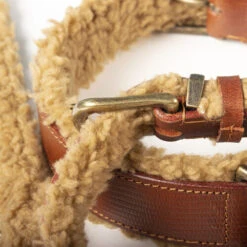 DWAM Halsband Teddy -Heimtierbedarf Verkäufe dwam halsband teddy 189206 0500 none