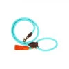 DWAM Hundeleine Türkis 1 DWAM Hundeleine Türkis -Heimtierbedarf Verkäufe dwam hondenriem turquoise 179857 0500 none