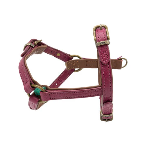 DWAM Hundegeschirr Lou Lou 4 DWAM Hundegeschirr Lou Lou – Bild 2