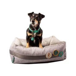 DWAM Jungle Love Korb -Heimtierbedarf Verkäufe dwam jungle love mand 186595 0500 none