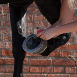 Equi Protecta Blue Wonder Gel -Heimtierbedarf Verkäufe equi protecta blue wonder gel 161240 0500 none