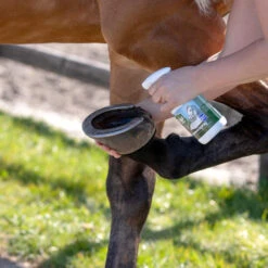 Equi Protecta Huf-Spray 7 Equi Protecta Huf-Spray -Heimtierbedarf Verkäufe equi protecta hoevenspray 161273 0500 none
