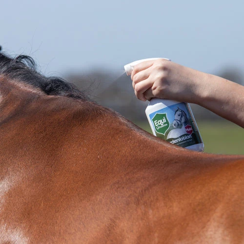 Equi Protecta Pferde-Lotion 5 Equi Protecta Pferde-Lotion – Bild 3