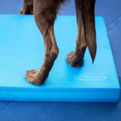 FitPAWS Balance Pad -Heimtierbedarf Verkäufe fitpaws balance pad 176131 0500 none