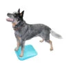 FitPAWS Balance Ramp -Heimtierbedarf Verkäufe fitpaws balance ramp 176140 0500 none