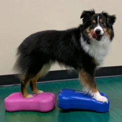 FitPAWS Bone Minis -Heimtierbedarf Verkäufe fitpaws bone minis 177124 0500 none