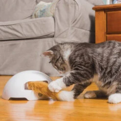 FroliCat Fox -Heimtierbedarf Verkäufe frolicat fox 136594 0500 none